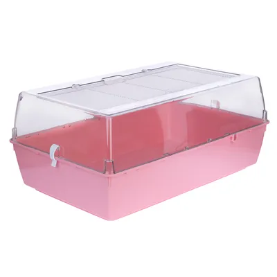 Cage pour petits animaux avec base en plastique rose et couvercle transparent muni d'une grille métallique sur le dessus, fermetures latérales visibles.