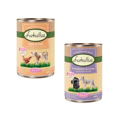 Lukullus Huhn & Kalb Junior, 12x400g. Testo visibile: Extra calcium & phosphorus, mit Haferflocken, Möhre und Leinöl. Immagine di lattina con pollo e vitello.