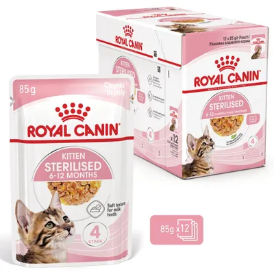 Royal Canin Sterilized Kitten v želeju - 12 x 85 g