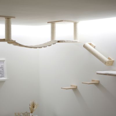 Wandgemonteerd klim- en speelsysteem van hout met met sisal omwikkelde palen, hangbrug en platforms. Geschikt voor plafondmontage.