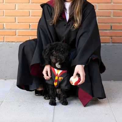 Hond in Harry-Potter-kostuum met wapen en stropdas, naast persoon in tovenaarsmantel, houdt een bal vast. Kostuumaccessoire voor huisdieren.