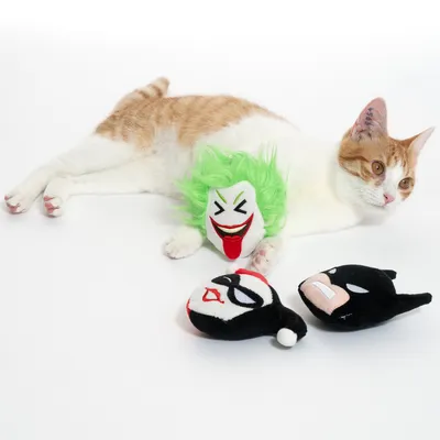 Kissa ja kolme pehmolelua: Joker vihreällä tukalla, Harley Quinn ja Batman. Lelut lemmikeille.