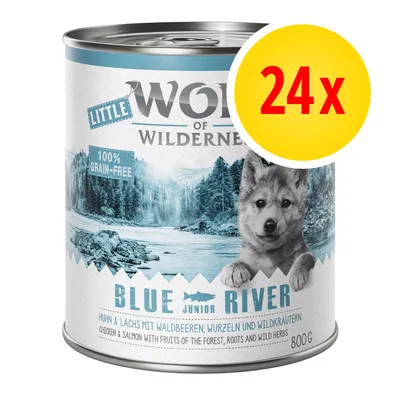 Pack of 24 cans, 800g each. Label shows 100% grain-free chicken and salmon with fruits of the forest, roots and wild herbs. Product name: Blue River Junior.