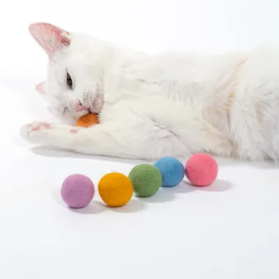 Vit katt leker med färgglada filtbollar i olika färger: lila, orange, grön, blå och rosa.