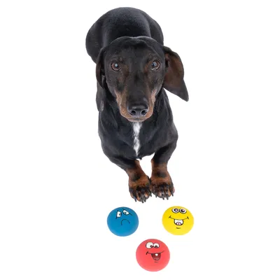 Schwarzer Hund mit drei bunten Spielbällen: blau mit traurigem Gesicht, rot mit lachendem Gesicht, gelb mit fröhlichem Gesicht.