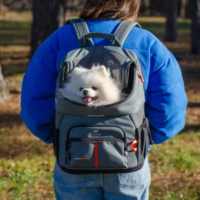 Mochila gris de Ferplast con abertura de malla, apta para transportar mascotas pequeñas. Se ve un perro blanco en la mochila. Modelo Voyager Backpack 80.