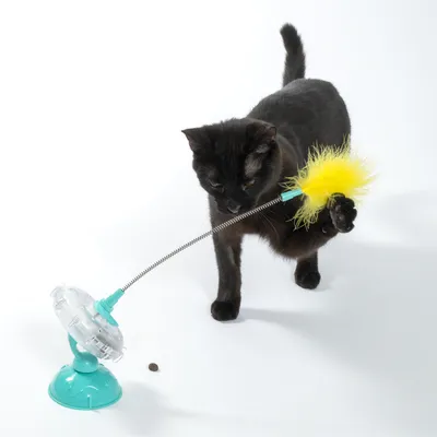 Gatto nero gioca con un gioco interattivo composto da una piuma su un'asta flessibile fissata a una ventosa turchese.