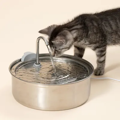 TIAKI Stainless Steel Drinking Fountain - Accessories: Replacement Pump