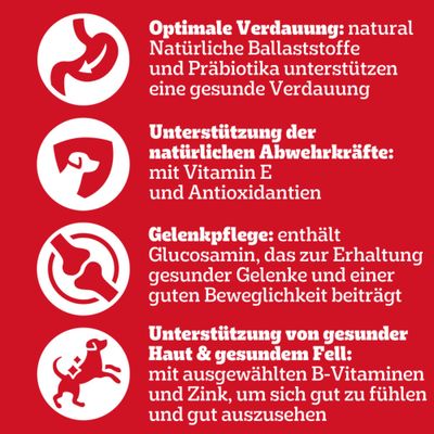 Pedigree Adult Frischebeutel für Hunde Vitality+ in Sauce