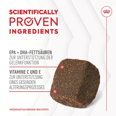 Wissenschaftlich erwiesene Inhaltsstoffe: EPA + DHA-Fettsäuren zur Unterstützung der Gelenkfunktion, Vitamine C und E zur Unterstützung eines gesunden Alterungsprozesses.