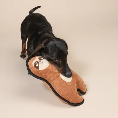 Gioco per cani TIAKI Bradipo - L 29 x P 18 x H 9 cm