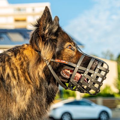 COLORI® 2.0 Museruola per cani da pastore L, nero