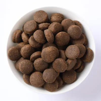 Ciotola con crocchette marroni e rotonde. Vista del prodotto per mostrare la forma e la taglia del cibo.