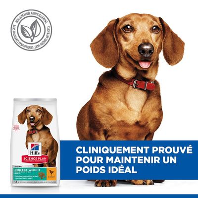 Hill's Science Plan Perfect Weight nourriture pour chien, cliniquement prouvé pour le maintien du poids. Sans conservateurs, colorants ou arômes artificiels.