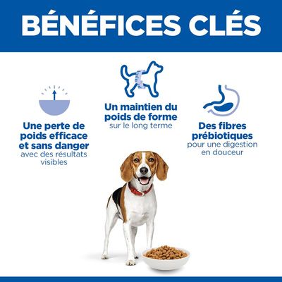 Principaux avantages : perte de poids efficace et sûre, maintien du poids à long terme, fibres prébiotiques pour une digestion douce. Un chien est représenté avec une gamelle.