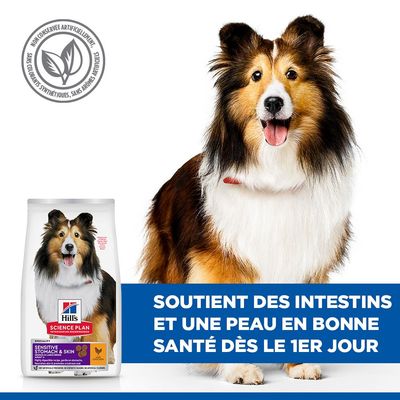 Hill's Science Plan Sensitive Stomach & Skin. Soutient l’intestin et une peau saine dès le premier jour. Sans conservateurs, colorants ou arômes artificiels.