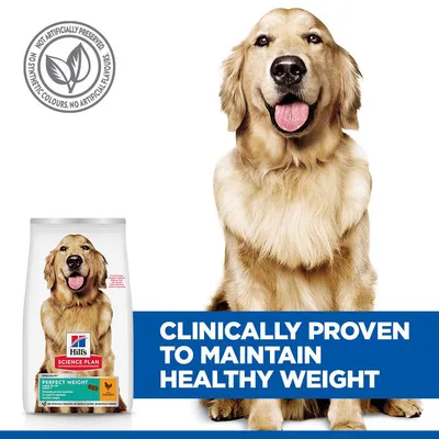 Hill's Science Plan Perfect Weight Adult 1+ Large csirke - 12 kg