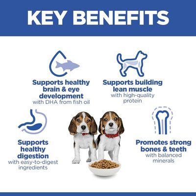 Hill's Science Plan Puppy <1 Medium csirke - 6 kg