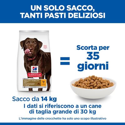 Hill's Science Plan Healthy Mobility Adult 1+ Large con Pollo