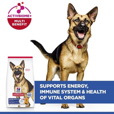 Hill’s Science Plan Mature Adult 6+ Large with Chicken - 14kg