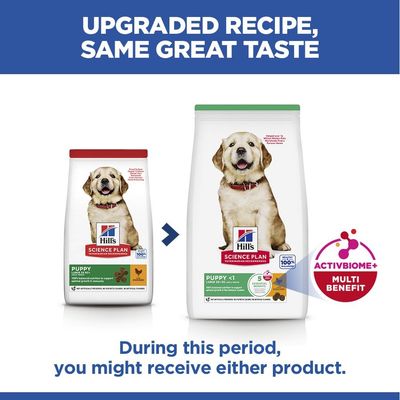 Hill’s Science Plan Puppy <1 Large with Chicken