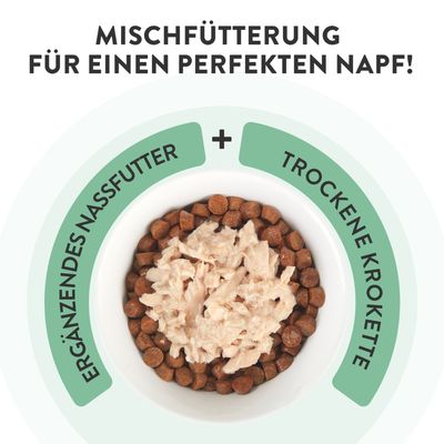 Schesir Compléments en gelée 6 x 70 g pour chat - poulet