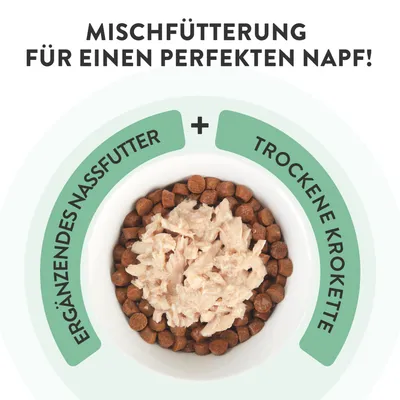 Schesir Complements in Gelee 6 x 70 g in Dosen - Huhn