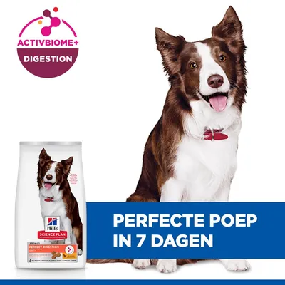 Hill's Science Plan Perfect Digestion Adult 1+ Medium met Kip & Bruine Rijst - Dubbelpak 2 x 14 kg