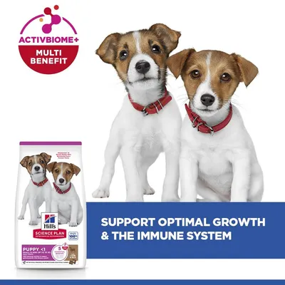 Hill's Science Plan Small & Mini Puppy Food with Lamb & Rice - dog dry food - Economy Pack: 3 x 3kg