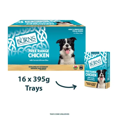 Burns Free Range Chicken with Carrots & Brown Rice, lot de 16 barquettes de 395g pour chiens adultes et seniors, texte en anglais sur l’emballage, photo d’un chien noir et blanc.