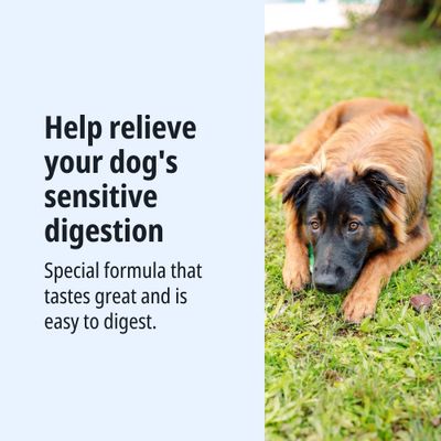 Helps with your dog's sensitive digestion. Special recipe that tastes great and is light and easily digestible.