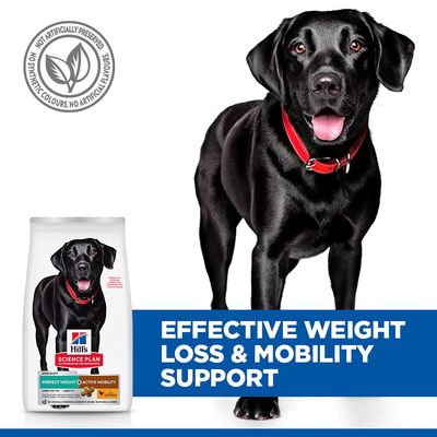 Hill's Science Plan Adult Perfect Weight & Active Mobility Large csirke