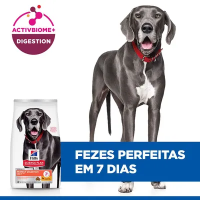 Hill's Science Plan Perfect Digestion Adult Large frango e arroz  - Pack económico: 2 x 14 kg