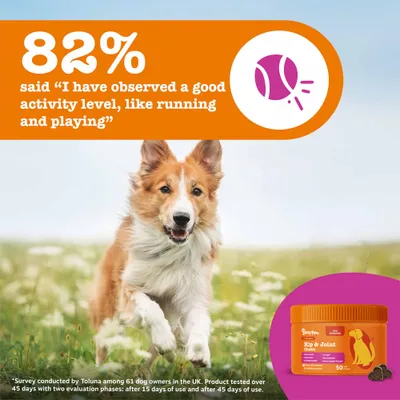 Zesty Paws Hip & Joint Chews Mobility - Turkey - dog supplements - 50 Chews