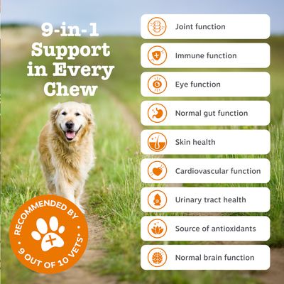 Zesty Paws Senior Advanced 9-in-1 Chews pulyka