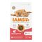 IAMS Advanced Nutrition Adult Cat with Salmon 3kg