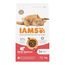 IAMS Advanced Nutrition Adult Cat mit Lachs 3 kg