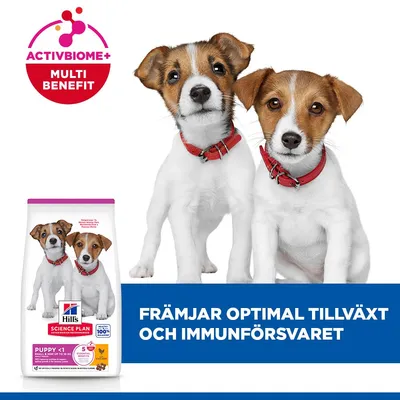 Hill's Science Plan Puppy <1 Small & Mini Chicken - 6 kg