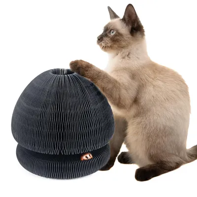 Canadian Cat Company Champi Παιχνίδι Ξυσίματος - Ø 16,2 x Υ 18 cm