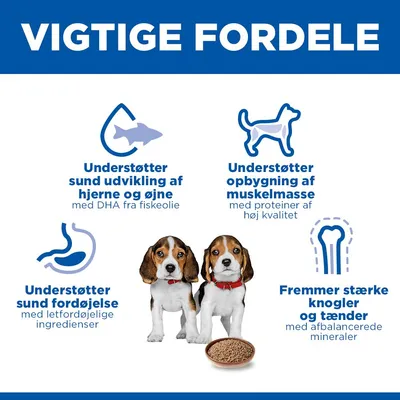 Hill's Science Plan Puppy <1 - med kylling (24 x 370 g)