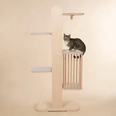 Natural Paradise drapak dla kota Tulip