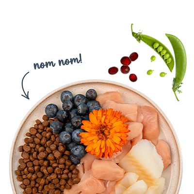 Teller mit Trockenfutter, Blaubeeren, Hähnchenstücken, weißem Fisch, orangefarbener Blüte. Daneben Erbsenschote und Cranberries. Text: nom nom!