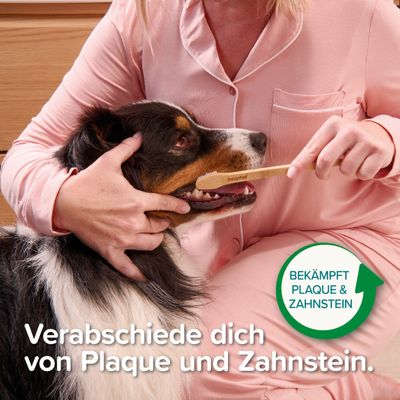 beaphar bambusz fogkefe