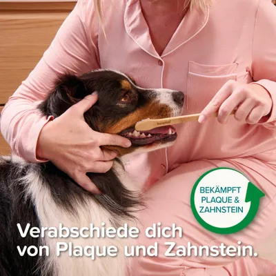 Hund wird mit Beaphar Zahnbürste gepflegt. Text: Verabschiede dich von Plaque und Zahnstein. Grünes Siegel: Bekämpft Plaque & Zahnstein.