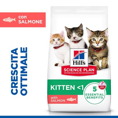 Hill's Science Plan Kitten <1 Salmone
