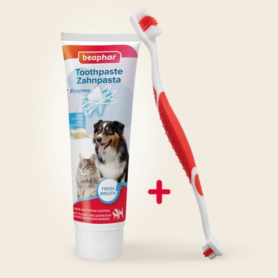 Set para limpieza de dientes beaphar