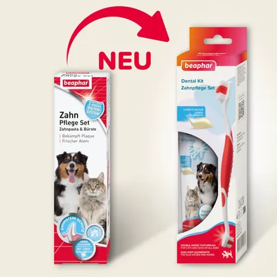 beaphar Zahnpflege-Set - Zahnpasta & Bürste (100 g)