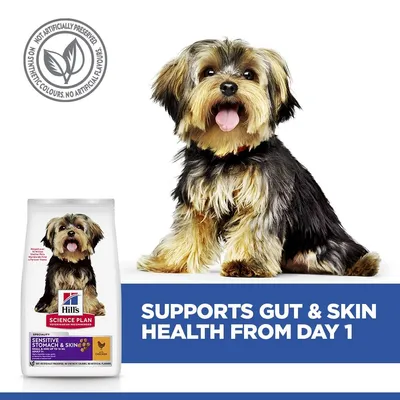 Hill's Science Plan Sensitive Stomach & Skin Adult 1+ Small & Mini csirke - 6 kg