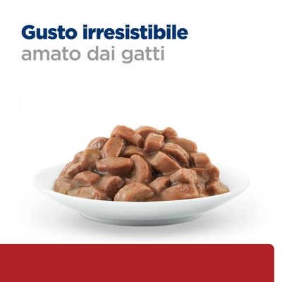 Ciotola con alimento umido marrone, sopra il testo: Gusto irresistibile, amato dai gatti.