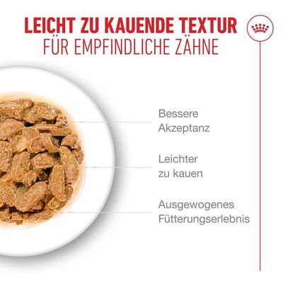 Royal Canin Ageing 11+ in Gelee